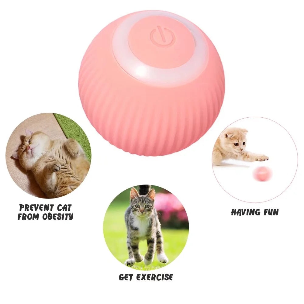 Interactive Cat Smart Ball