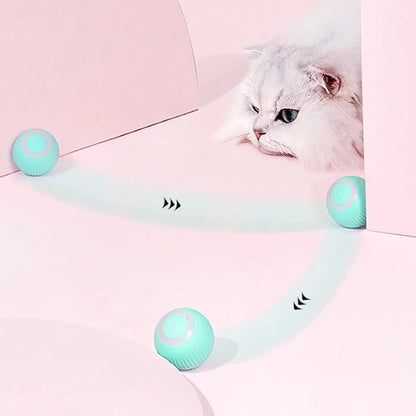 Interactive Cat Smart Ball